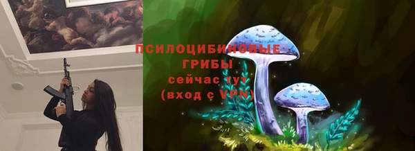 jwh Аркадак